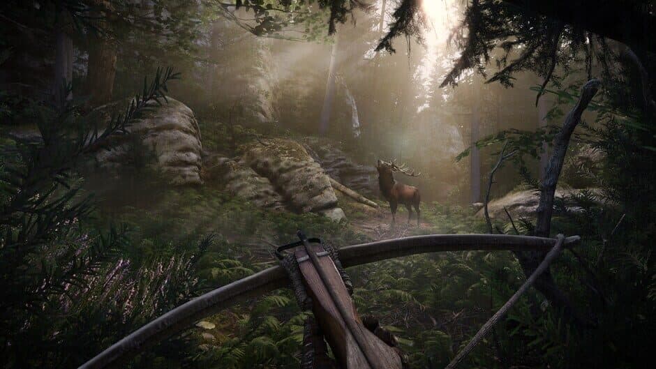 Kingdom Come: Deliverance II Royal Edition screenshot 4