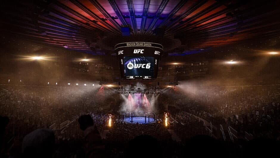 UFC 6 screenshot 3