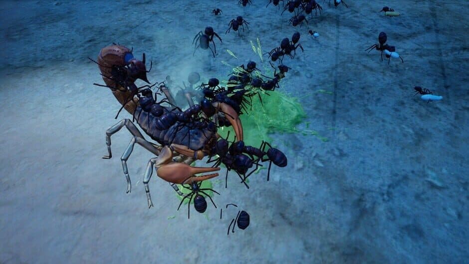 Empires of the Undergrowth - Exploding Ants screenshot 6