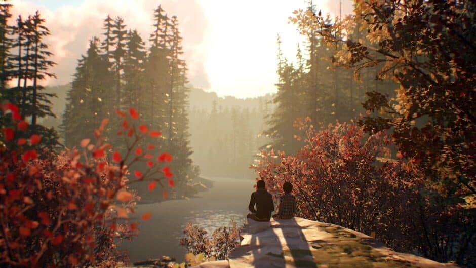 Life is Strange 2 - Episode 1 screenshot 1