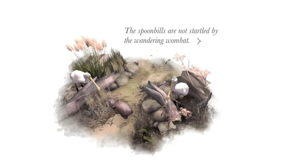 Paperbark screenshot 4