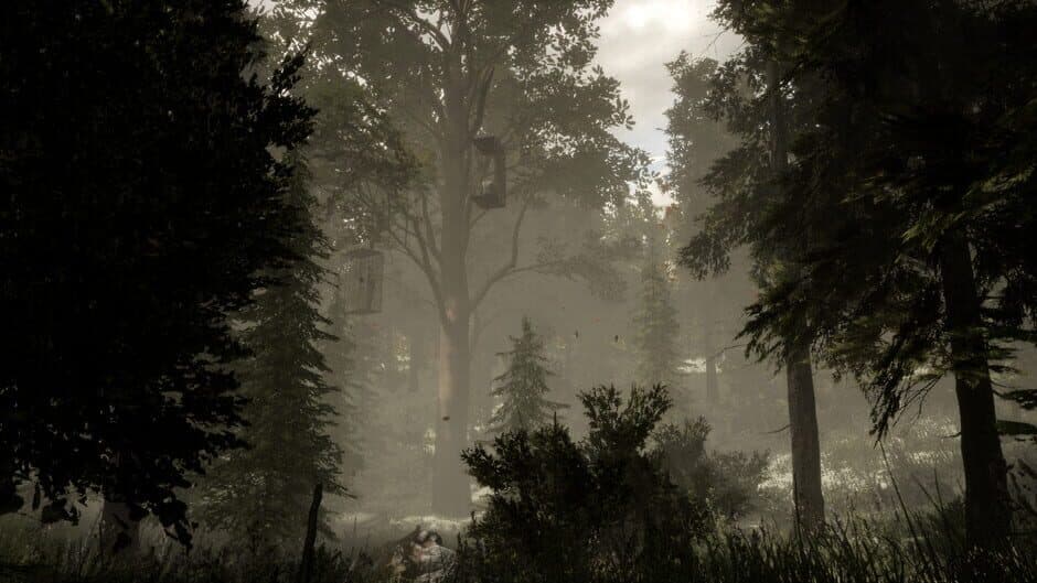 The Woods: VR Escape the Room screenshot 5