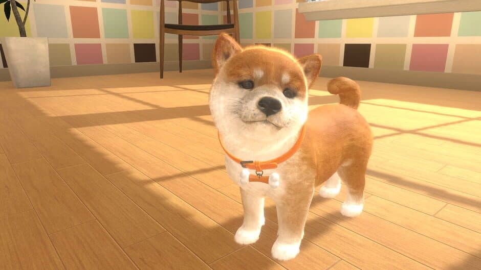 Little Friends: Dogs and Cats screenshot 5