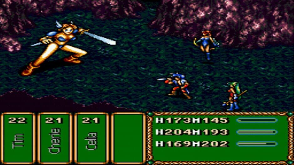 Brave Battle Saga - The Legend of The Magic Warrior screenshot 4