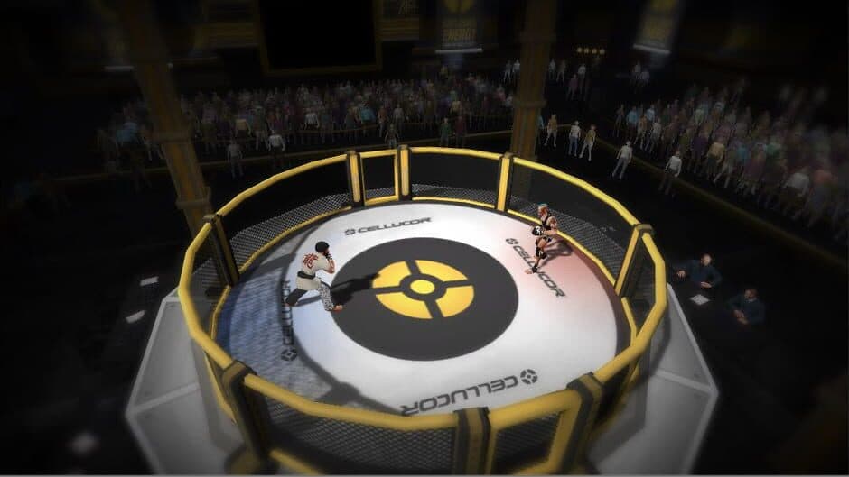 MMA Arena screenshot 4