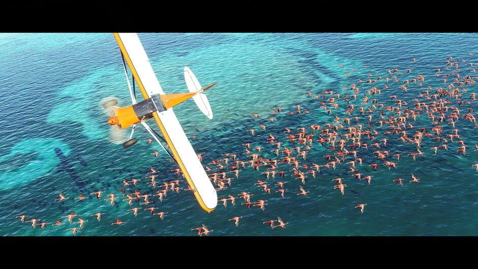 Microsoft Flight Simulator screenshot 4