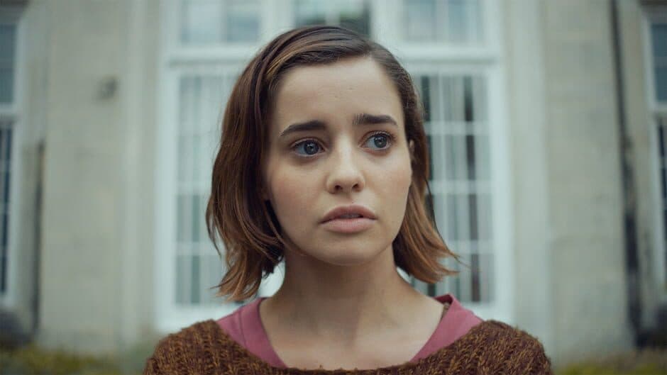 Erica screenshot 6