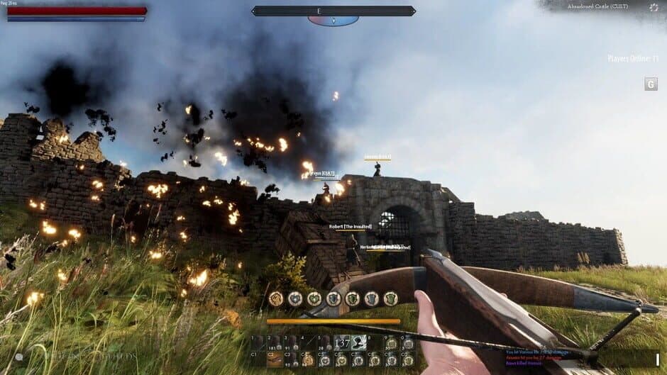 Reign of Guilds screenshot 5