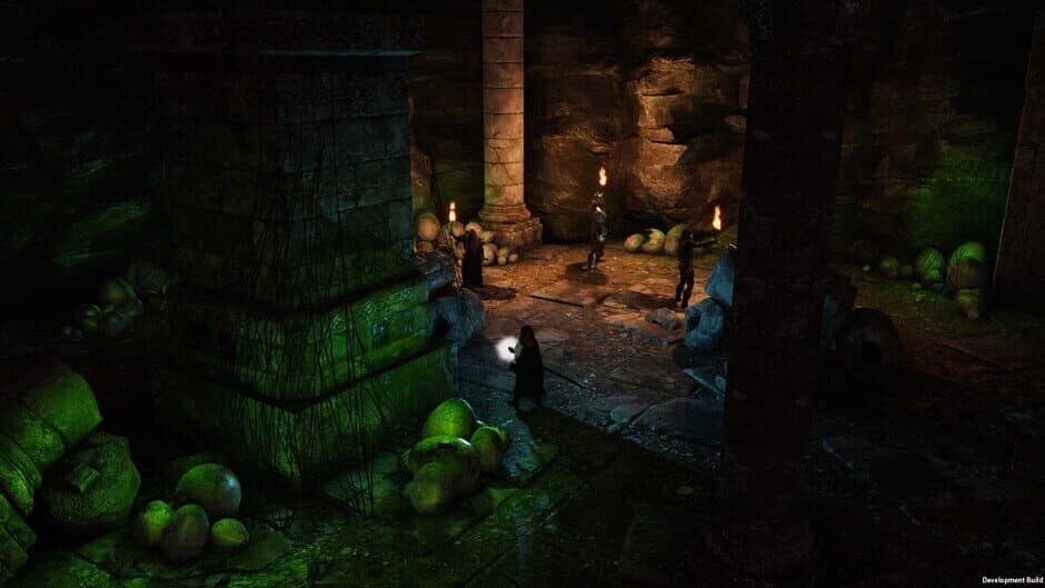 Solasta: Crown of the Magister screenshot 1