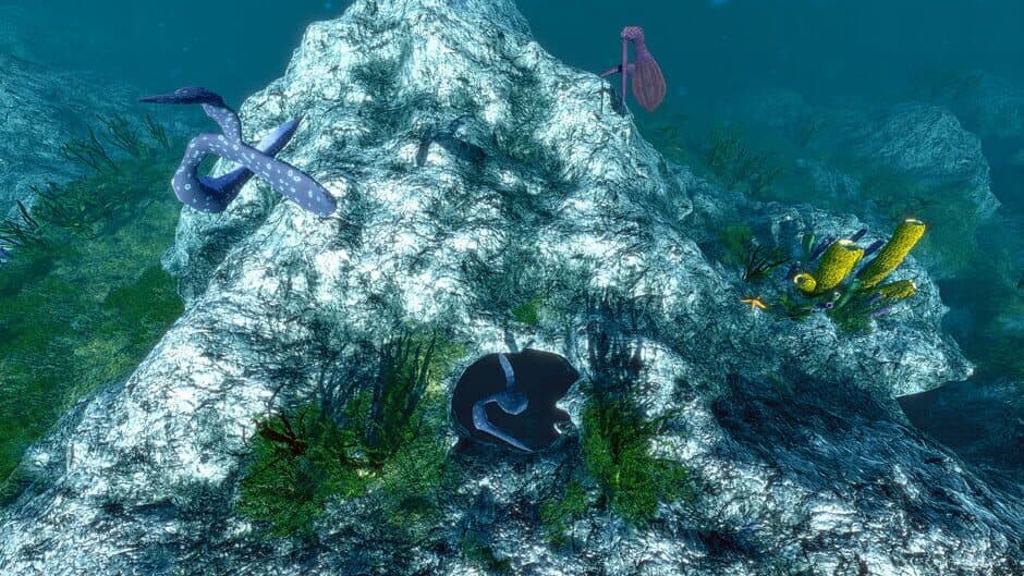 Ecosystem screenshot 4