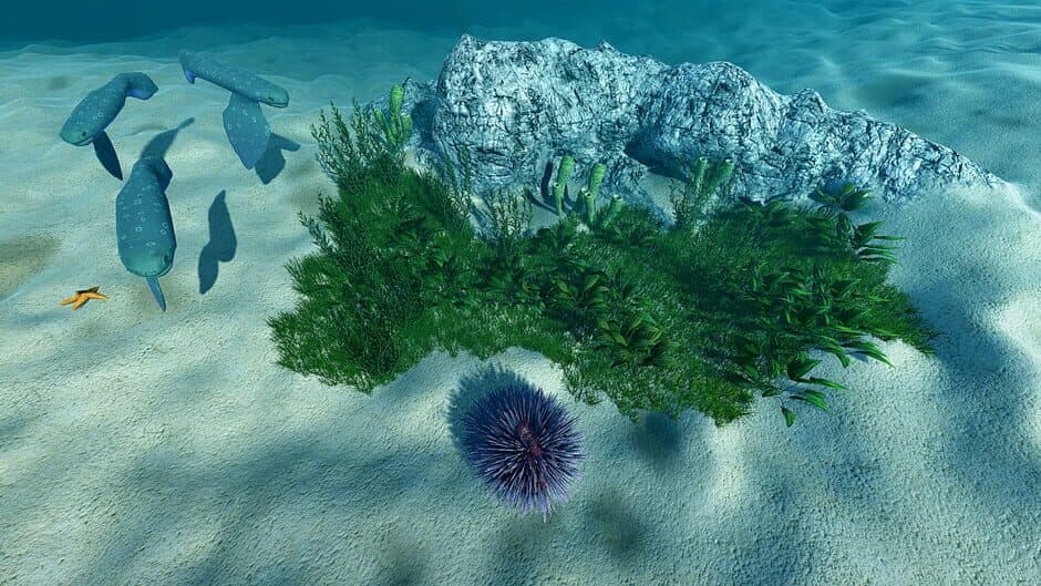 Ecosystem screenshot 1