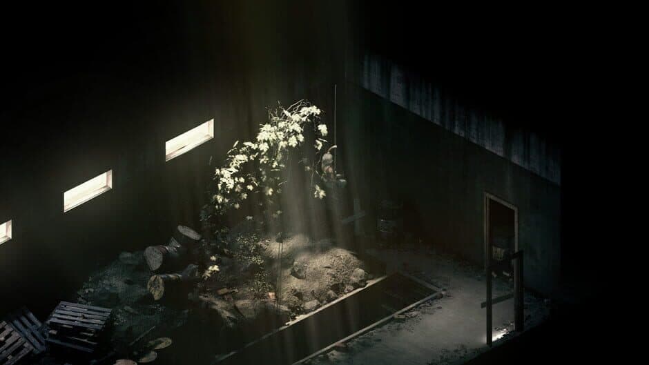 Rauniot screenshot 4