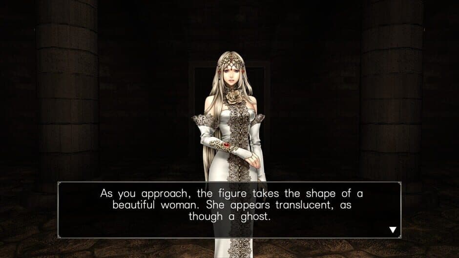 Wizardry: Labyrinth of Lost Souls screenshot 2