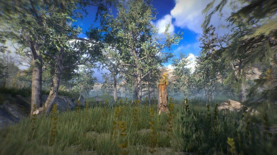 Position screenshot 5