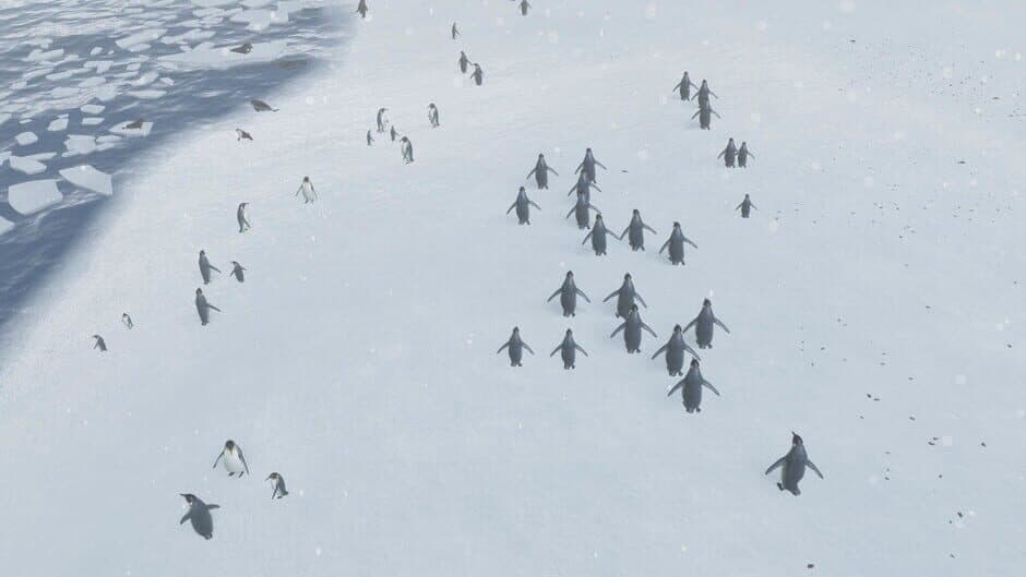 Natural Instincts screenshot 3