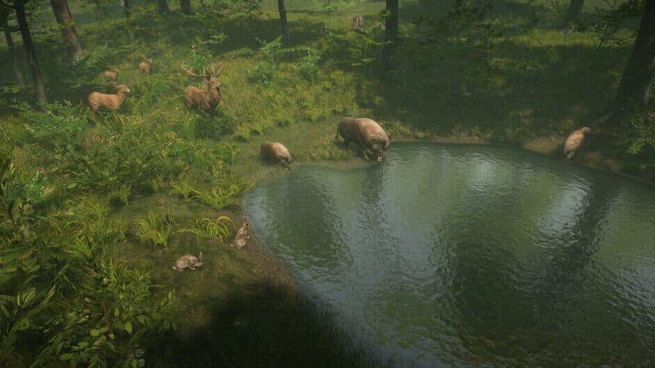 Natural Instincts screenshot 1