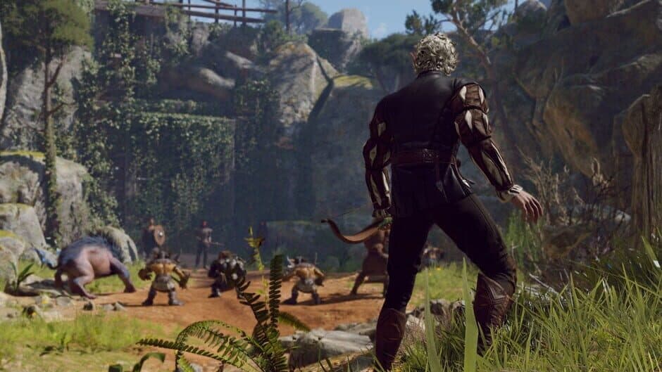 Baldur's Gate 3 screenshot 3