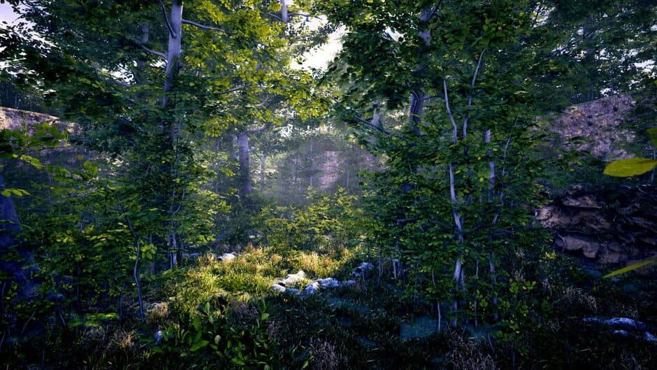 The Fabled Woods screenshot 3