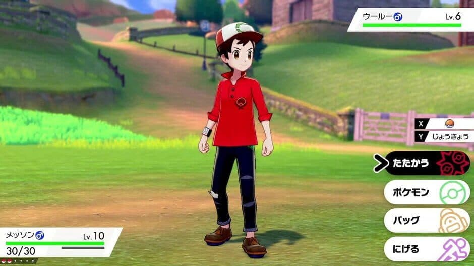 Pokemon: Shield - Expansion Pass screenshot 2