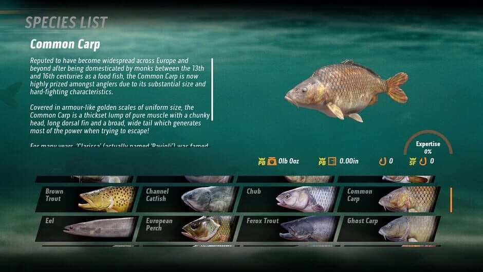 The Catch: Carp & Coarse screenshot 4