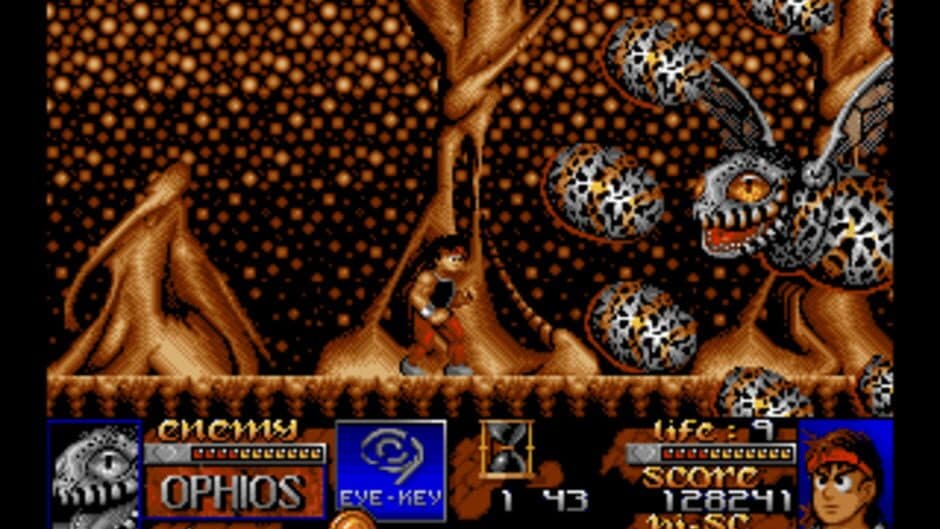 Risky Woods screenshot 2