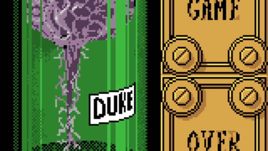 Duke Nukem screenshot 2