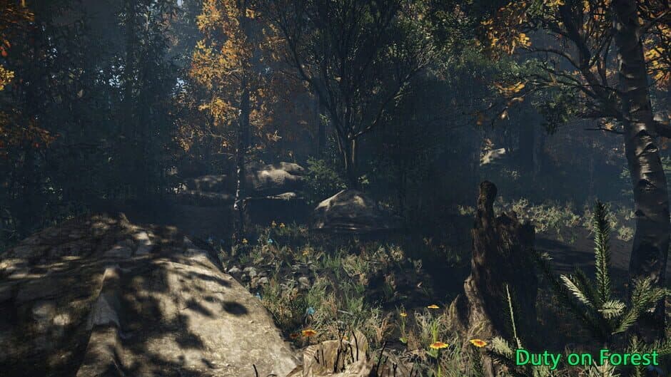 Duty in Forest screenshot 5
