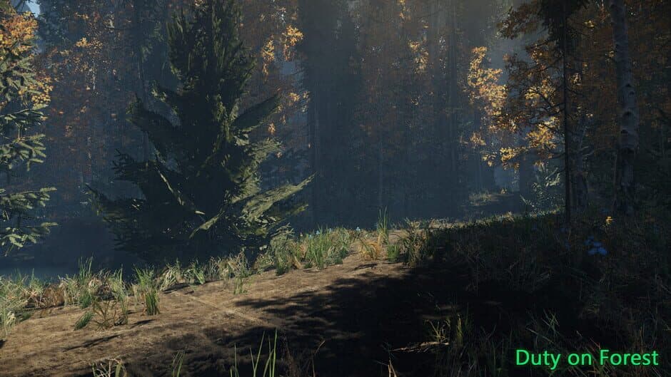 Duty in Forest screenshot 6
