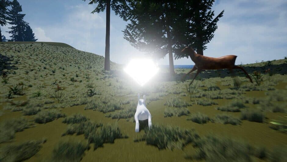 Bunny's Buddy screenshot 2