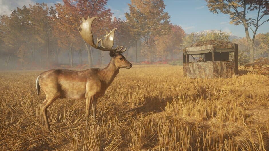 theHunter: Call of the Wild: Tents & Ground Blinds screenshot 3