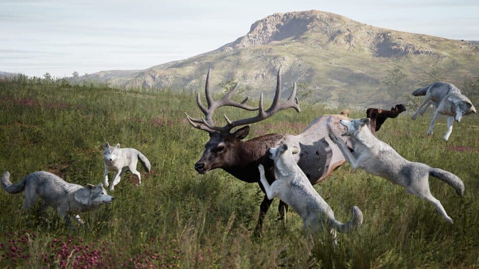 Artemishea screenshot 1