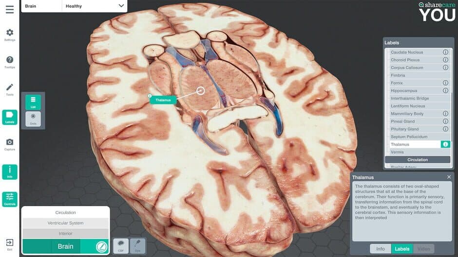 Sharecare YOU screenshot 4