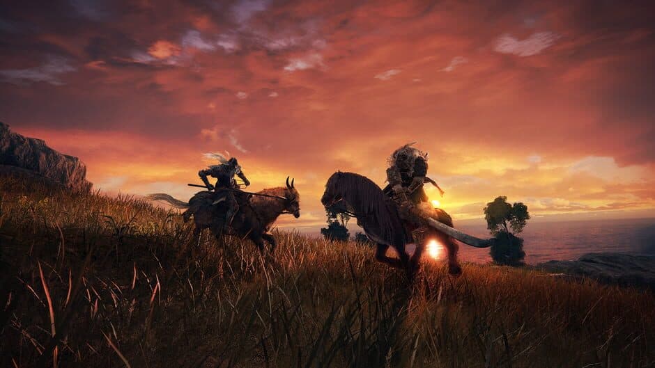 Elden Ring screenshot 4