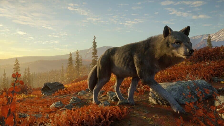 theHunter: Call of the Wild - Yukon Valley screenshot 6