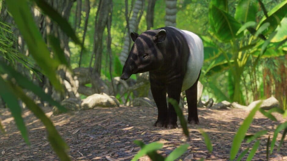 Planet Zoo - Southeast Asia Animal Pack screenshot 3
