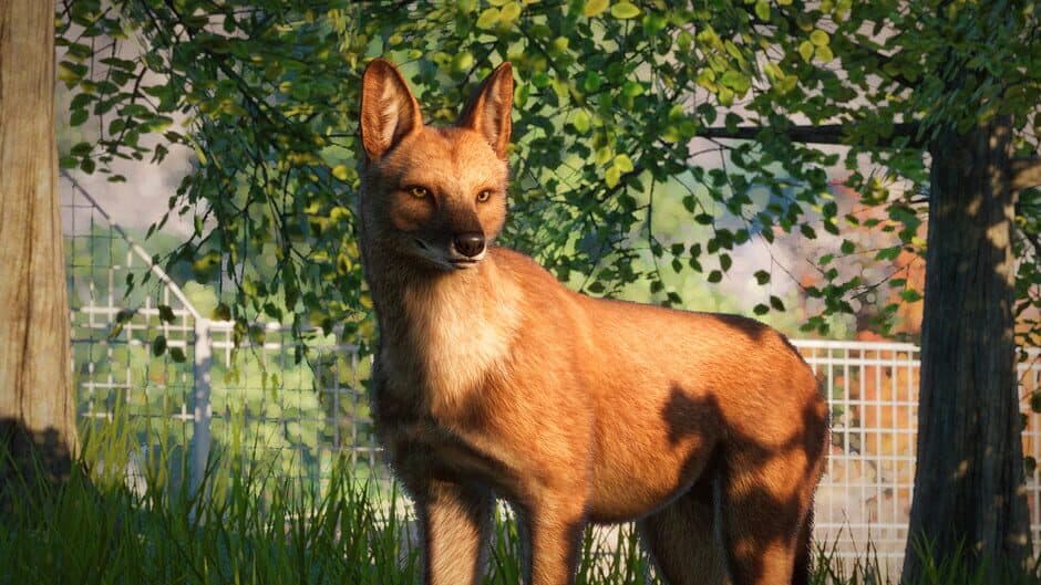 Planet Zoo - Southeast Asia Animal Pack screenshot 5