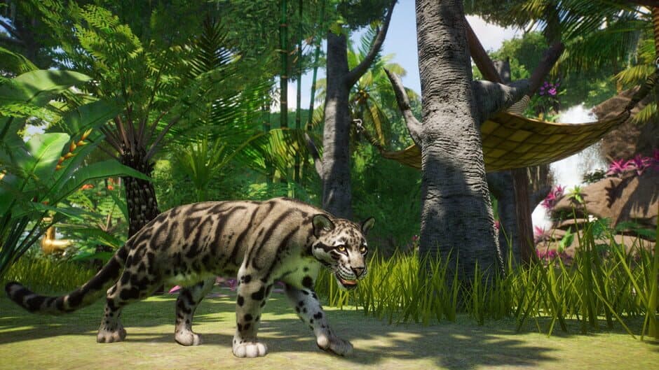 Planet Zoo - Southeast Asia Animal Pack screenshot 6