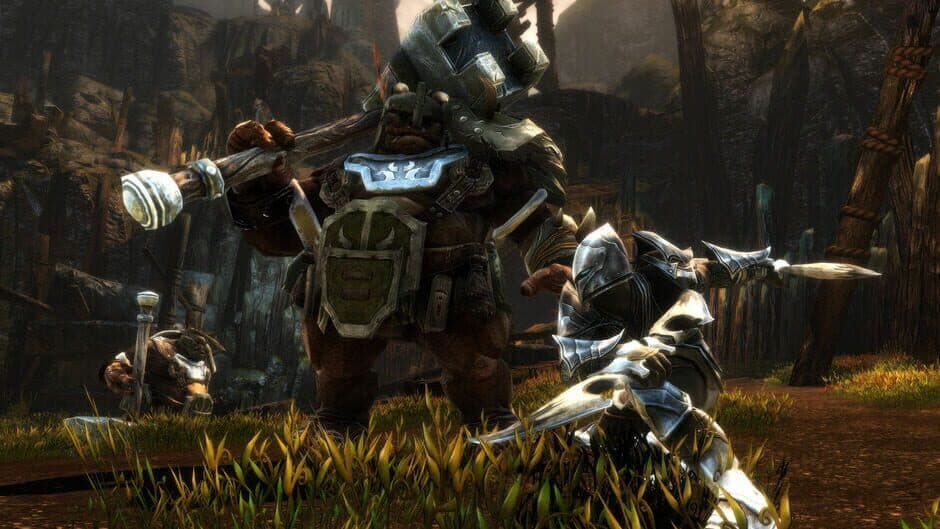 Kingdoms of Amalur: Re-Reckoning FATE Edition screenshot 4