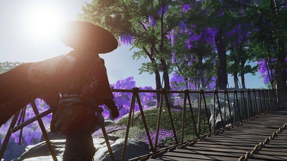 Ghost of Tsushima: Director`s screenshot 1