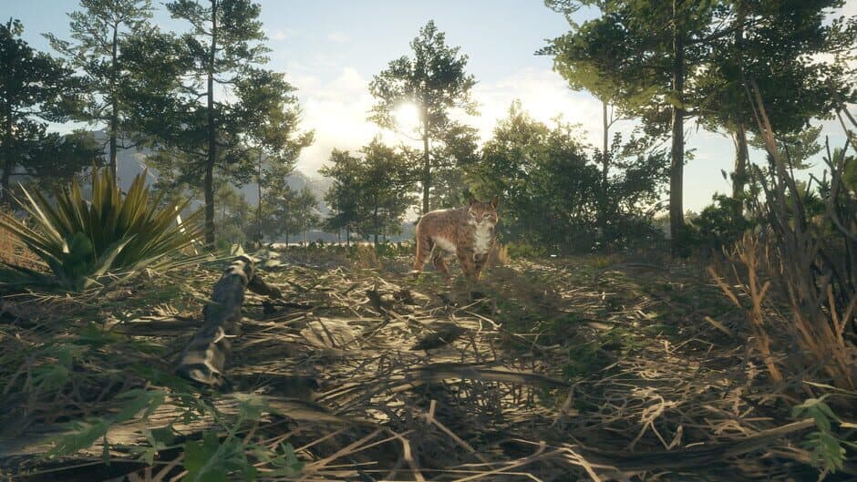 theHunter: Call of the Wild - Rancho del Arroyo screenshot 1