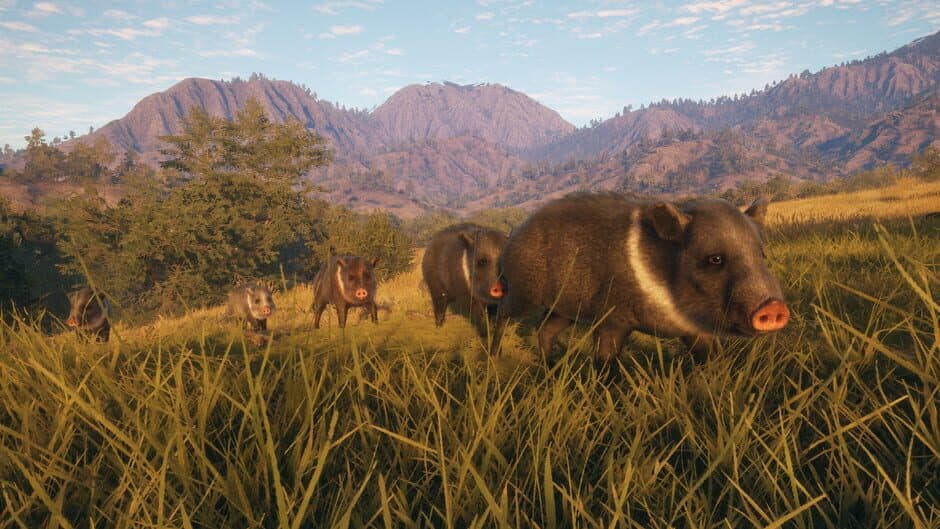 theHunter: Call of the Wild - Rancho del Arroyo screenshot 4