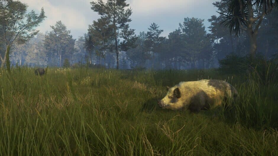 theHunter: Call of the Wild - Te Awaroa National Park screenshot 4