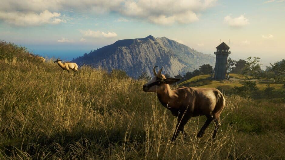 theHunter: Call of the Wild - Te Awaroa National Park screenshot 5