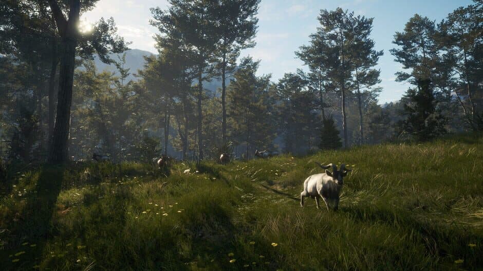 theHunter: Call of the Wild - Te Awaroa National Park screenshot 6