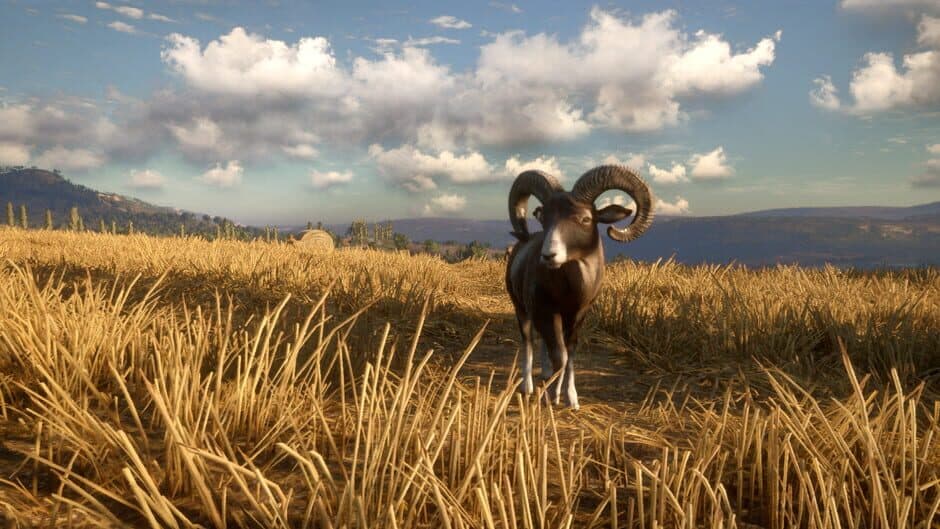 theHunter: Call of the Wild - Cuatro Colinas Game Reserve screenshot 1