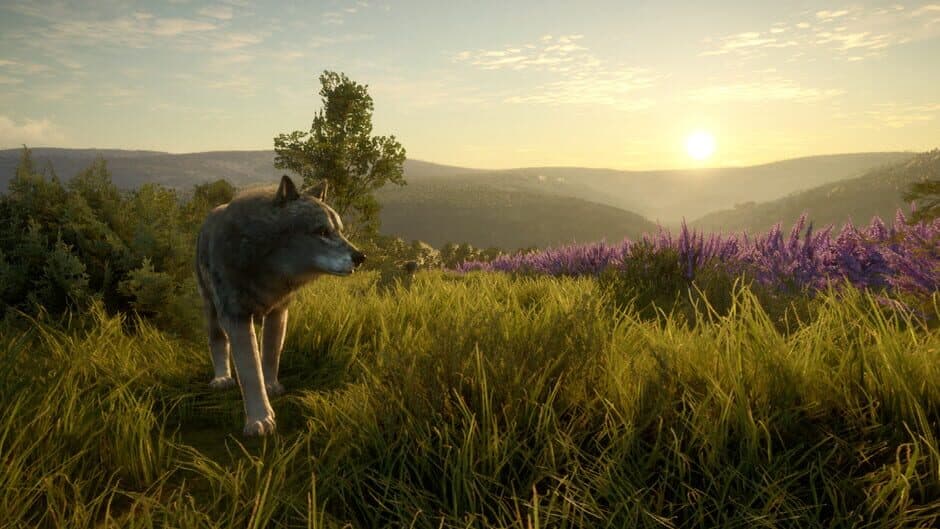 theHunter: Call of the Wild - Cuatro Colinas Game Reserve screenshot 2