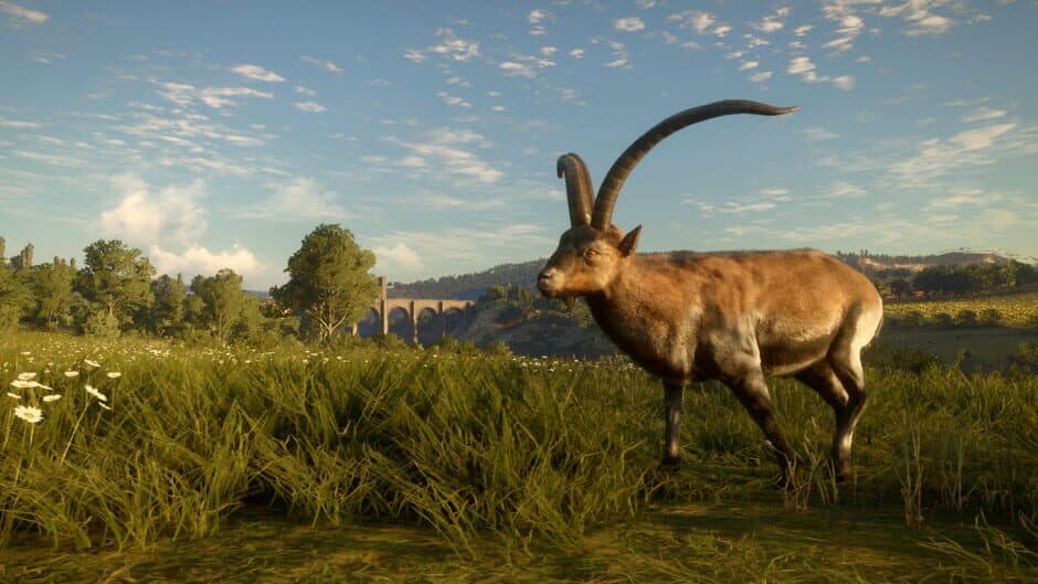 theHunter: Call of the Wild - Cuatro Colinas Game Reserve screenshot 3