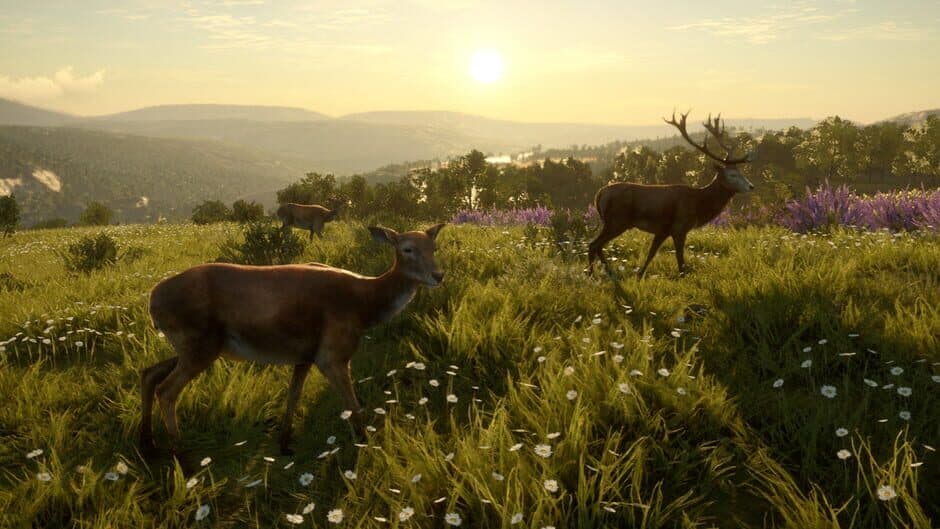 theHunter: Call of the Wild - Cuatro Colinas Game Reserve screenshot 6
