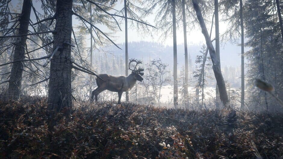 theHunter: Call of the Wild - Medved-Taiga screenshot 4