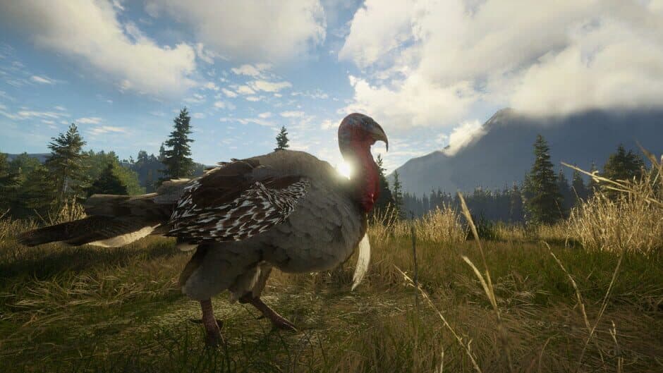 theHunter: Call of the Wild - Silver Ridge Peaks screenshot 3